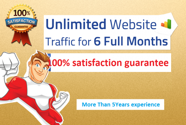 6 Months UNLlMITED Real Web Traffic Website  Best price